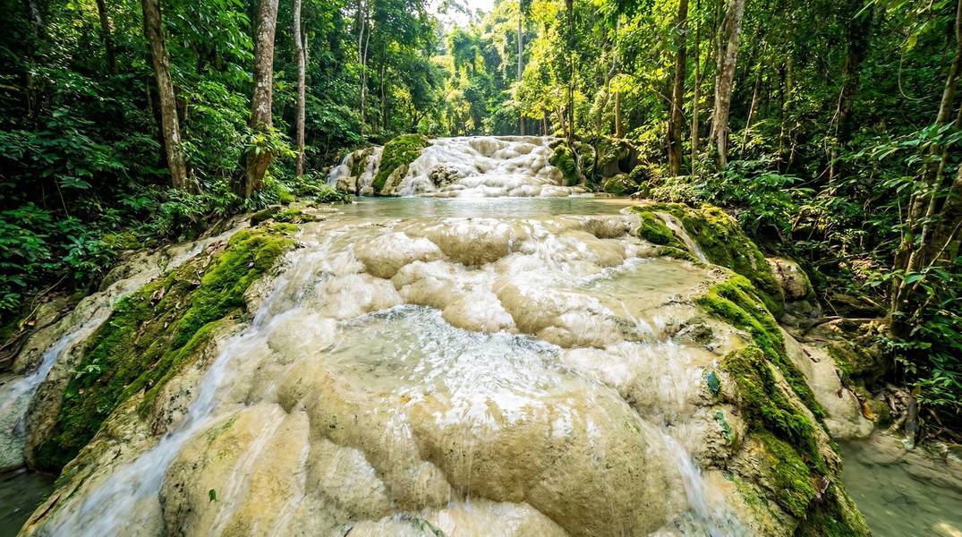 Bua Tong Sticky Waterfall